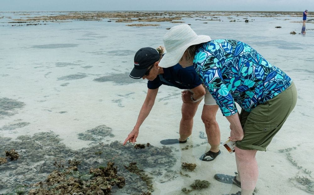 Why Australian Geographic Travel?