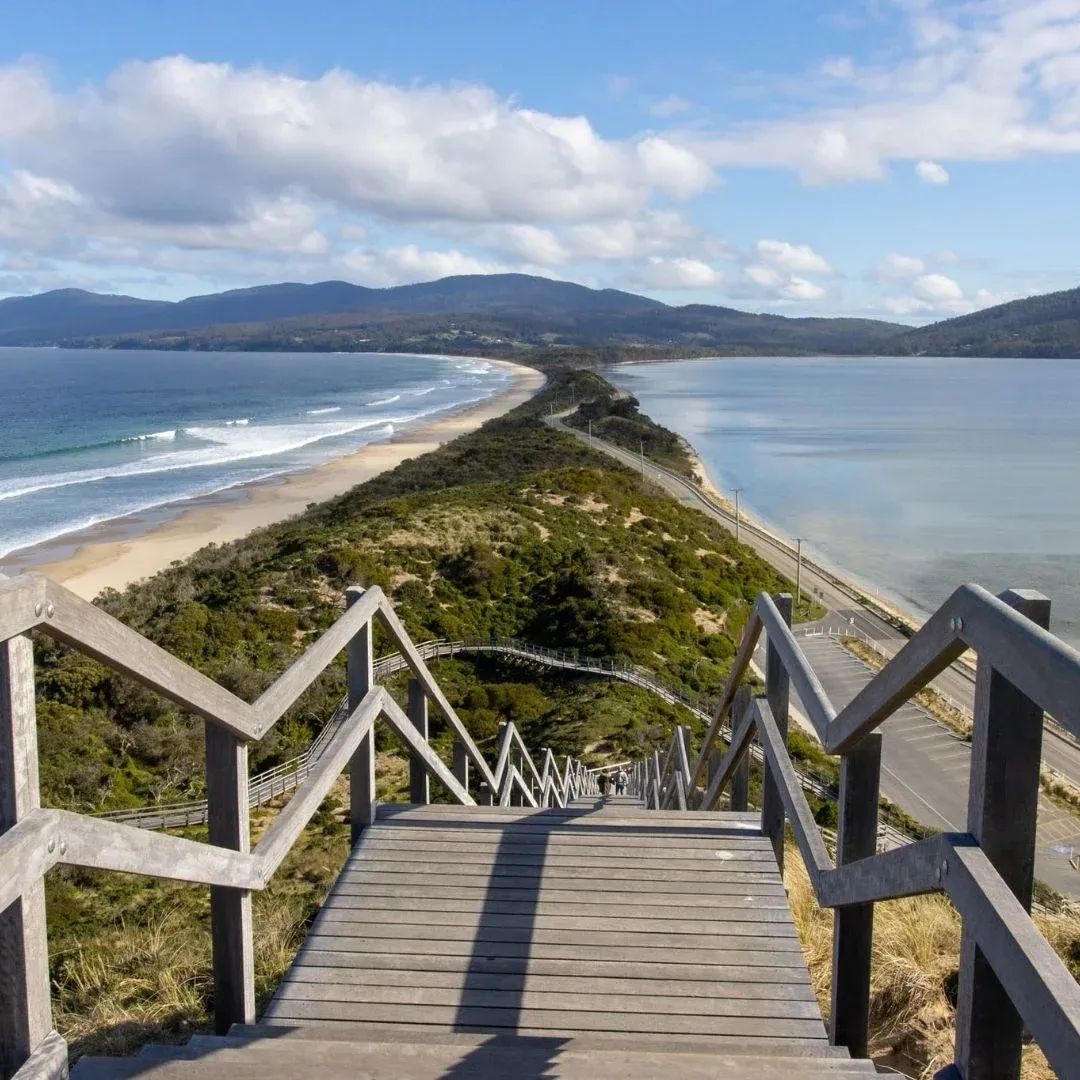 All 12 Endemics, Nocturnal Walk & the Wildlife of Lunawuni / Bruny Island
