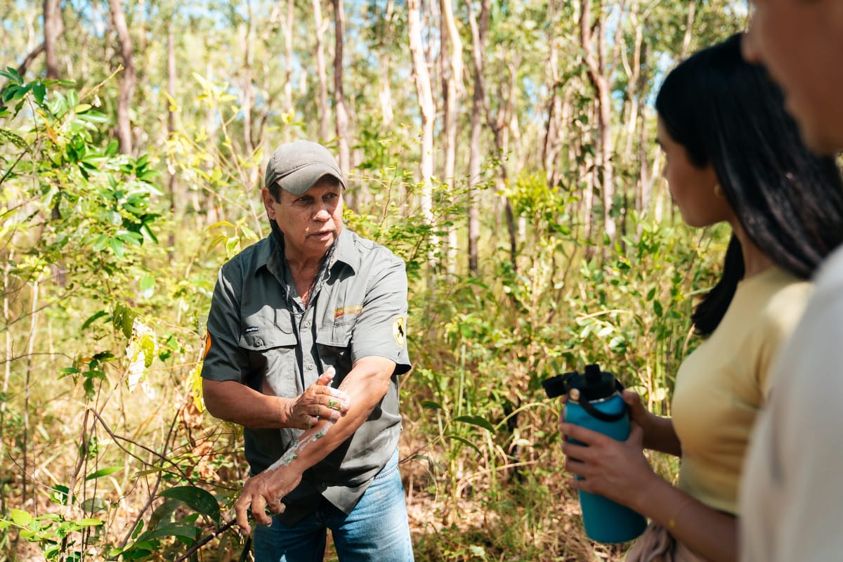 Ancient Dreaming - Cooktown & Bloomfield 4WD Adventure