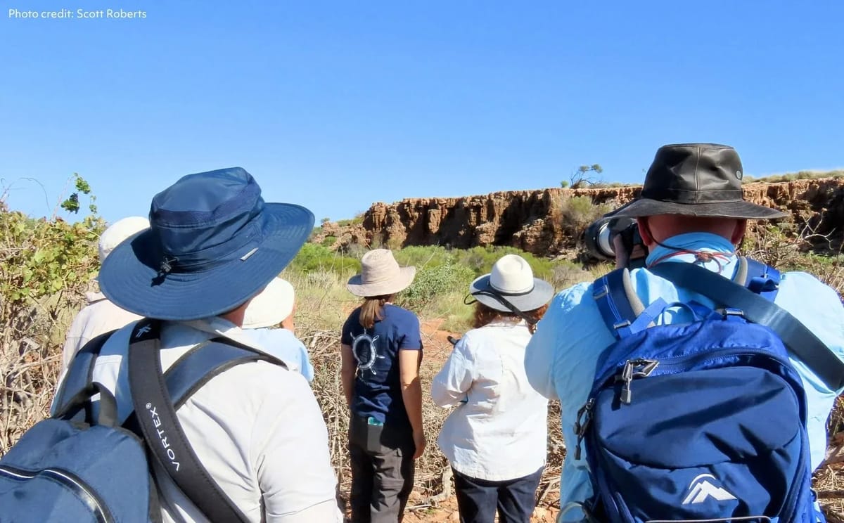Whale Sharks & Ningaloo Coast Wildlife