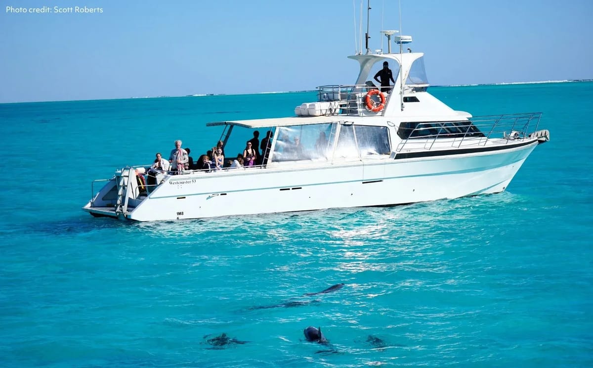 Whale Sharks & Ningaloo Coast Wildlife