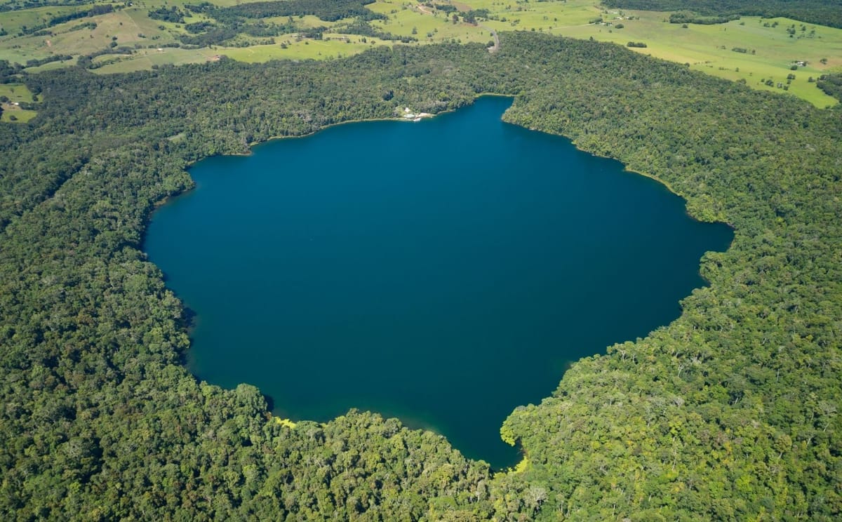 Daintree Nature & Wildlife Safari