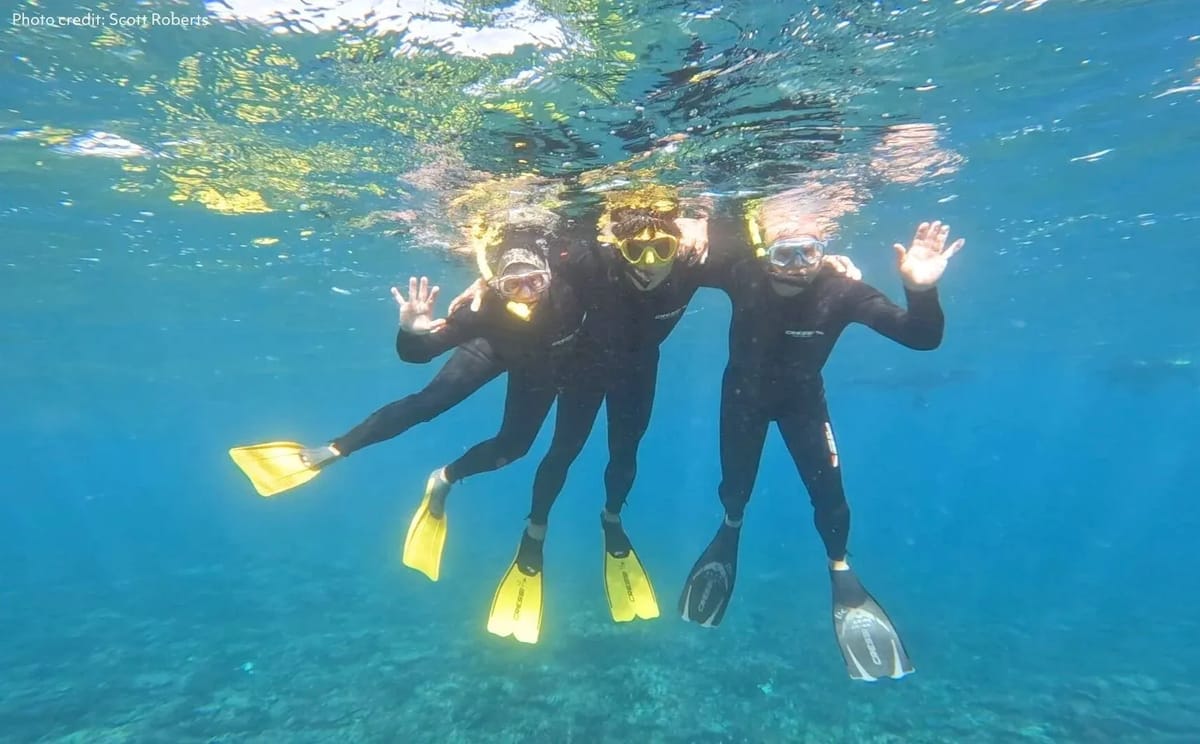 Whale Sharks & Ningaloo Coast Wildlife