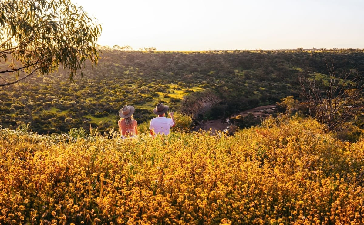 Coalseam Conservation Park