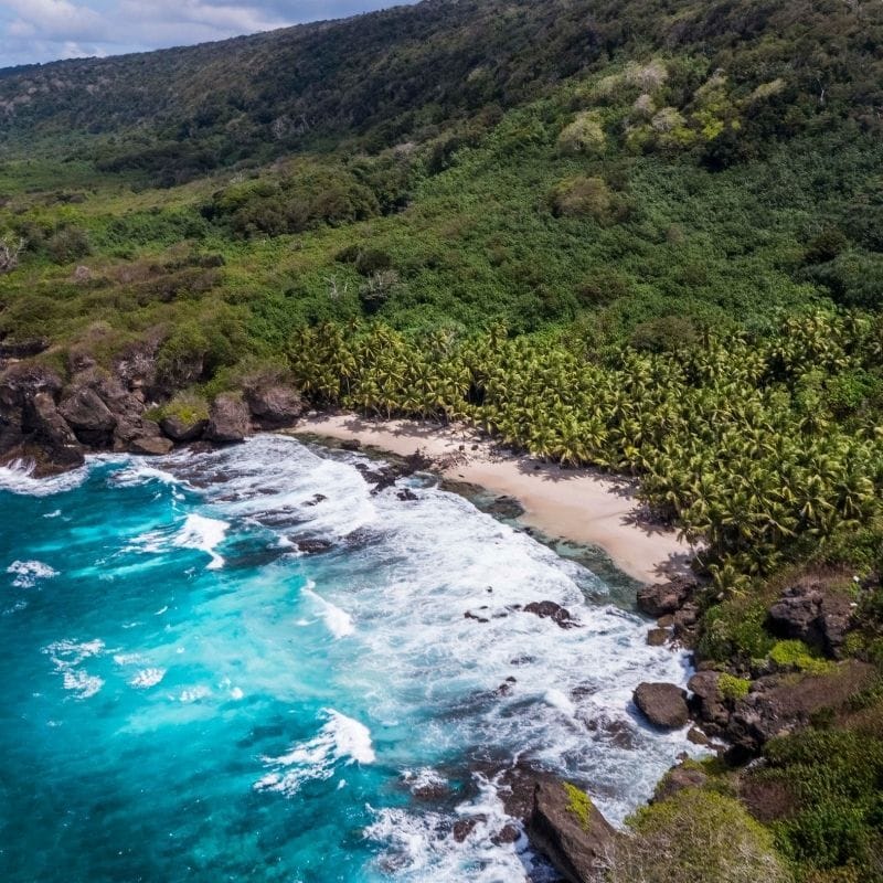 Dolly Beach, Turtle Tracks & Conservation in Action