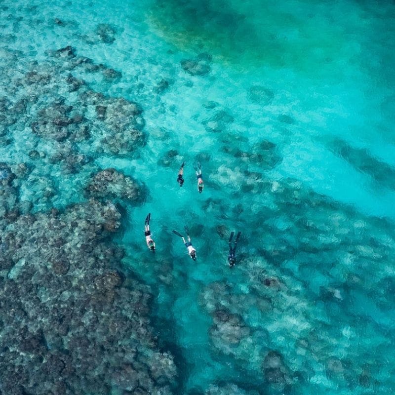 Direction Island, Snorkelling & Sunset Dinner