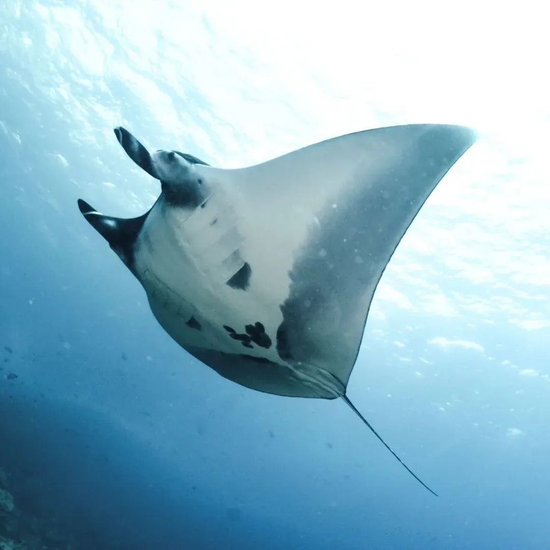 Ningaloo Lagoon