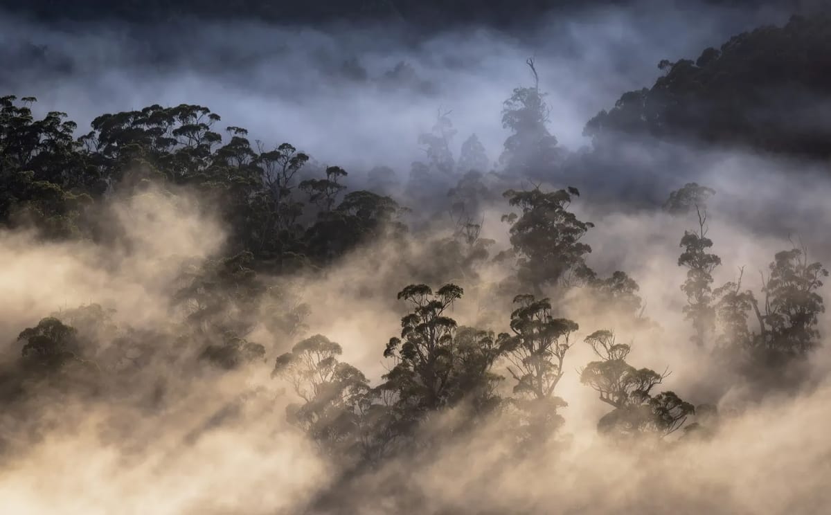 Takayna/Tarkine Tasmania Photography Workshop