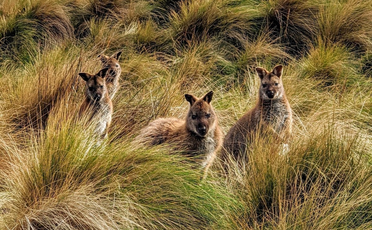 Flinders Island Photography Workshop