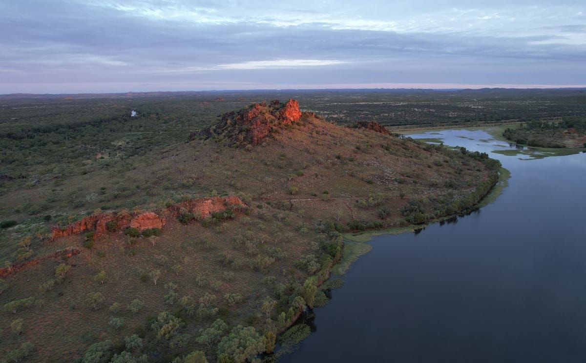 Birds of Channel Country Outback Safari