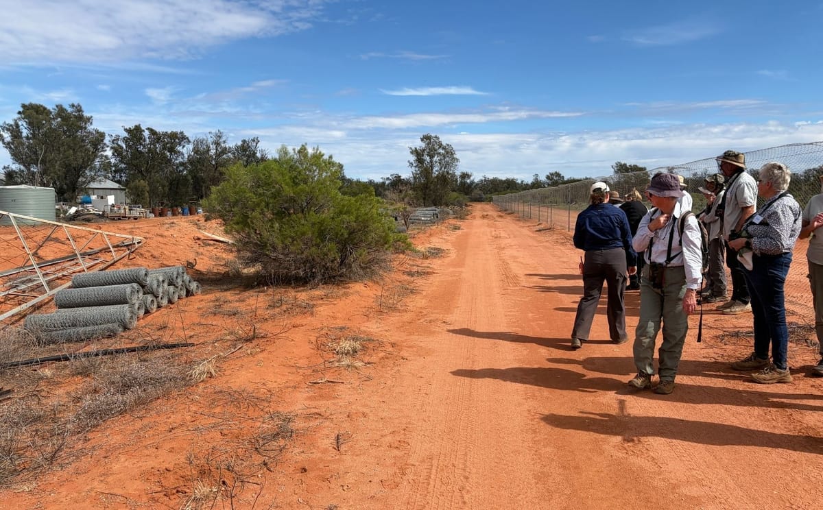Rewilding Scotia with the Australian Wildlife Conservancy