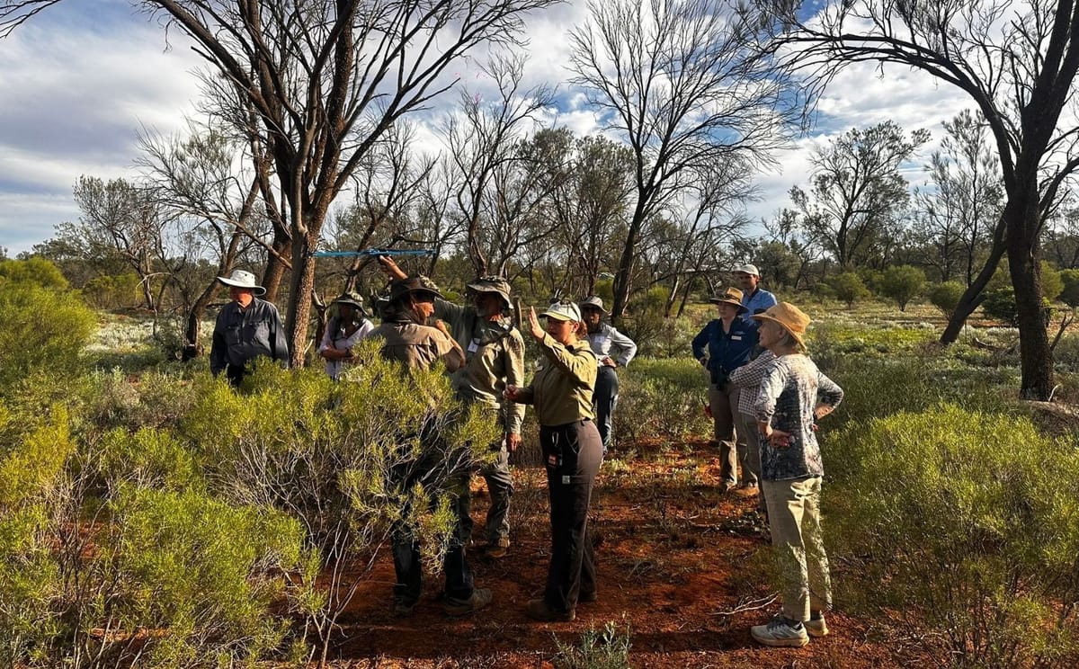 Rewilding Scotia with the Australian Wildlife Conservancy