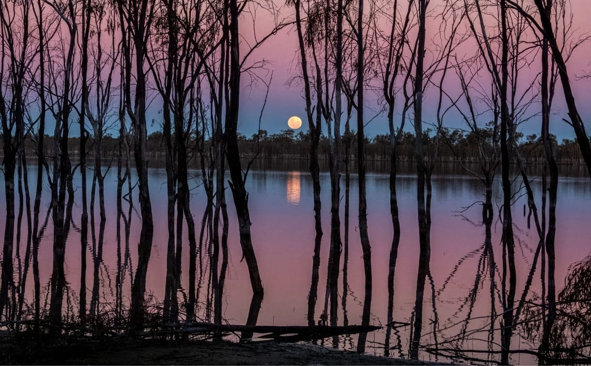 Mungo Outback Conservation Journey