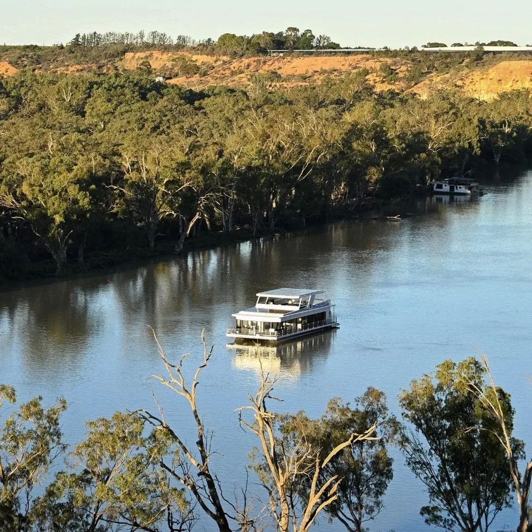 Downstream Cruising and Riverside Lunch