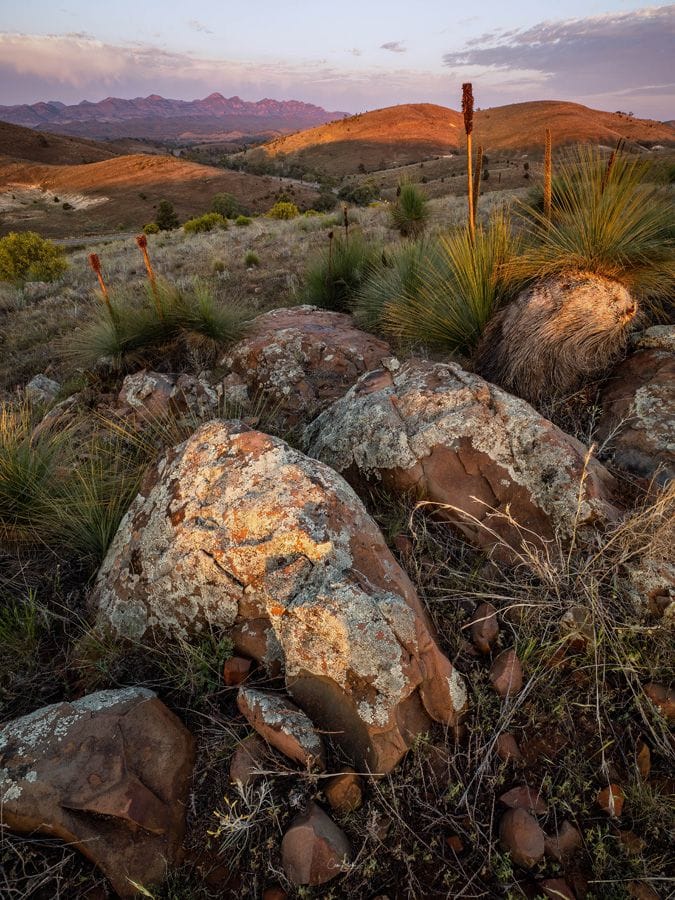 Flinders Ranges Photography Safari