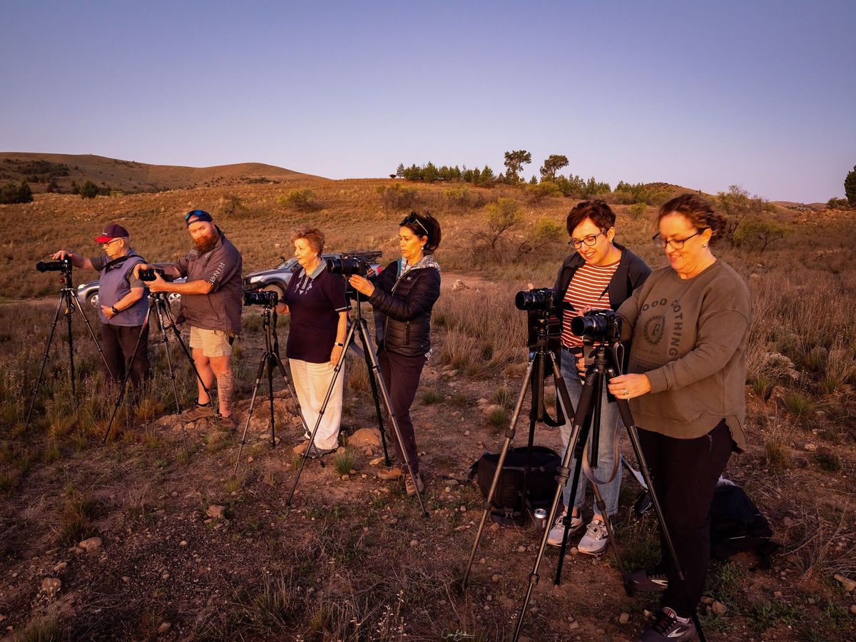 Flinders Ranges Photography Safari