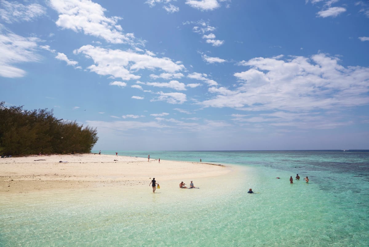 Heron Island to Wilson Island