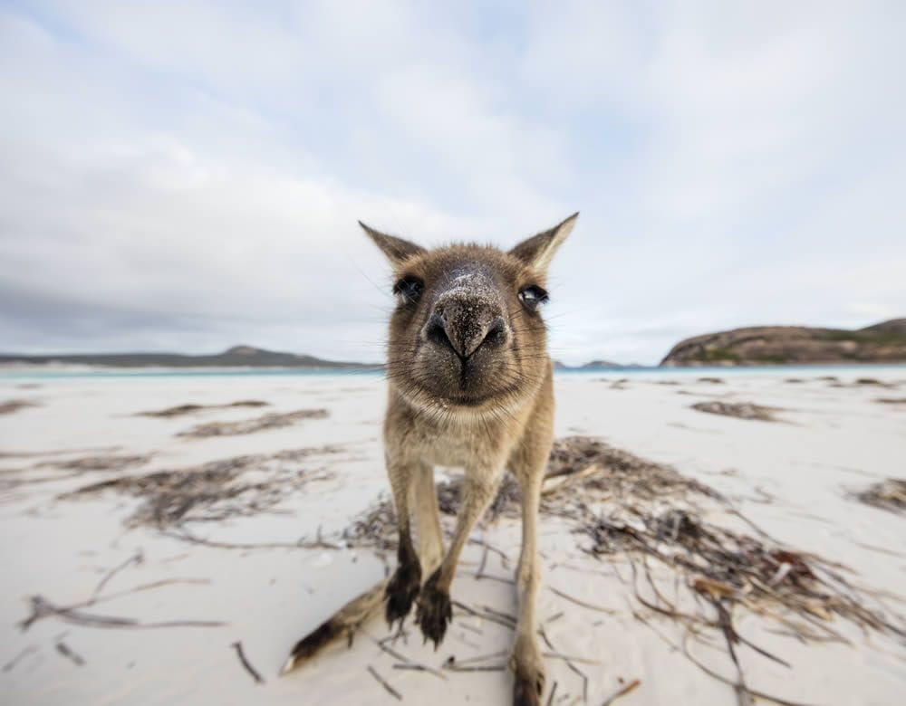 Western Australia