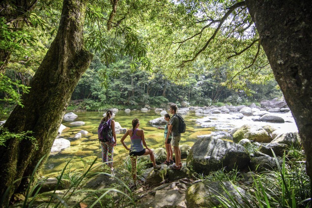 Daintree Nature & Wildlife Safari