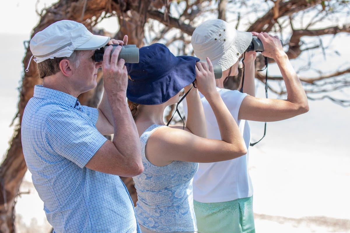 PRIVATE TOUR: Southern Eyre Peninsula Bird Watching Tour, South Australia