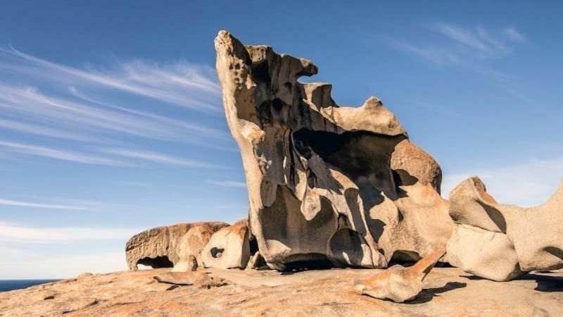 PRIVATE TOUR: Australian Nature & Wildlife Safari