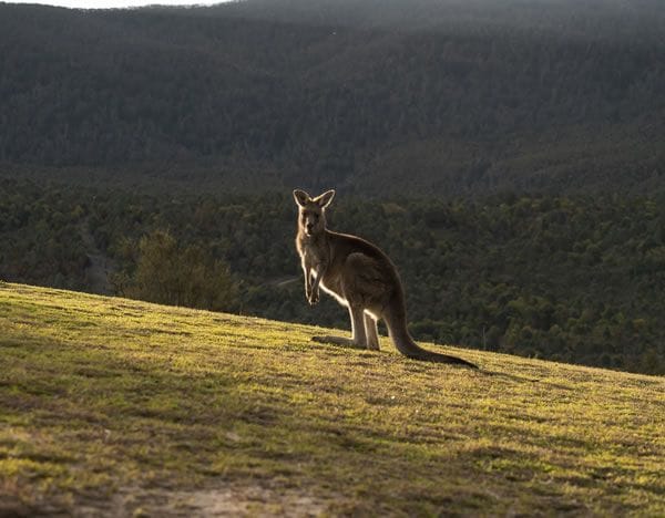 Australian Capital Territory