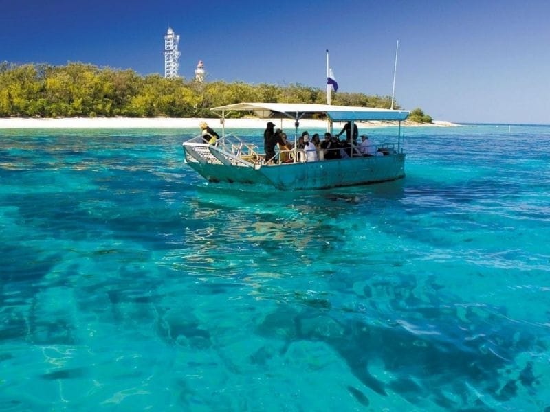 Manta Rays of Lady Elliot Island