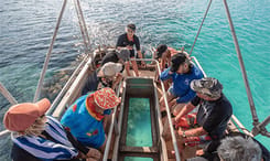 Coral Futures Expedition Presented by The Australian Geographic Society