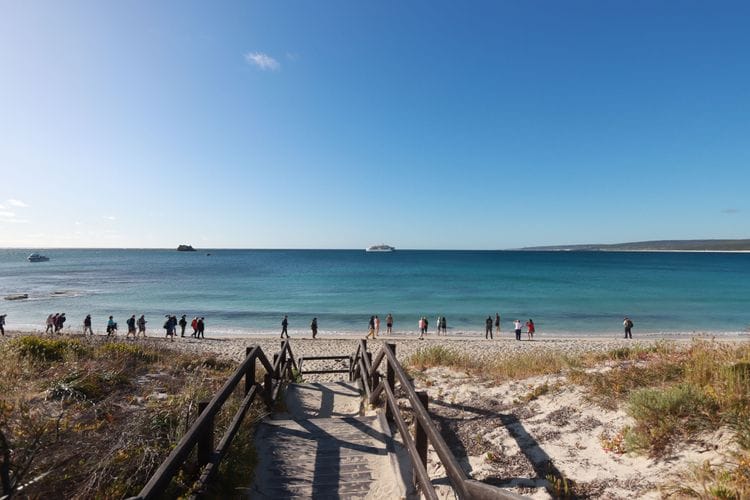 Expedition Cruise - Whales and Trails of Western Australia