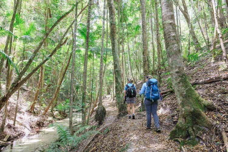 The Best of the K’gari (Fraser Island) Great Walk – K’gari, Queensland