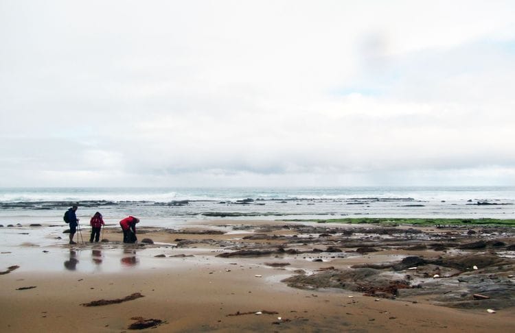*WOMEN ONLY* Great Ocean Conservation Walk