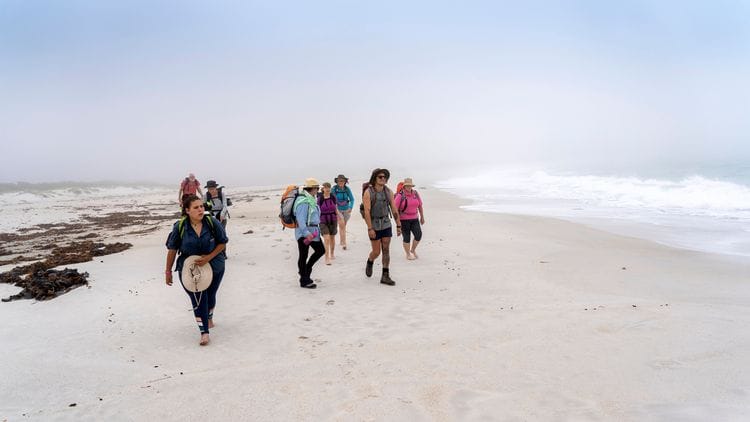 Wukalina Bay of Fires Walking & Cultural Experience