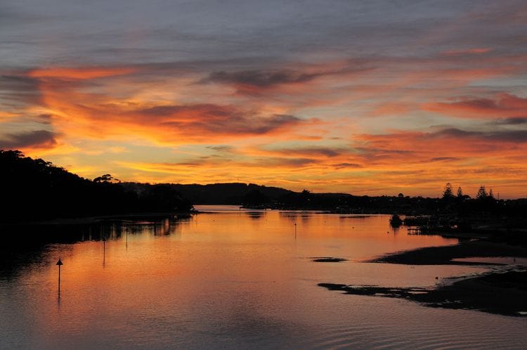 PRIVATE Sydney to Melbourne Nature & Wildlife Adventure