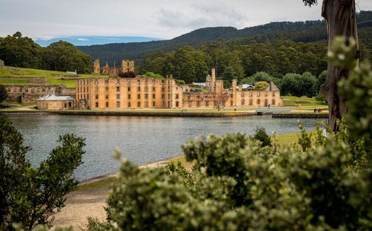 Tasmanian Highlights: Devils, Wombats and World Heritage