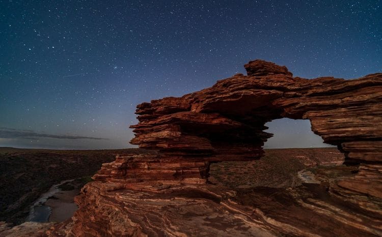 Wildflowers & Natural Wonders of the Mid West