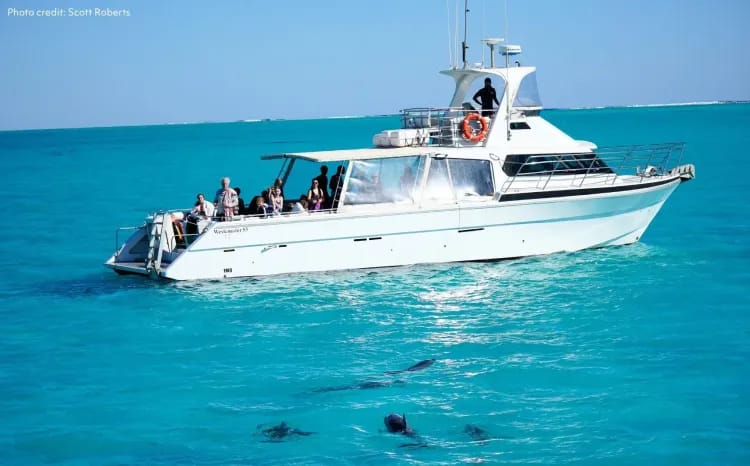 Whale Sharks & Ningaloo Coast Wildlife