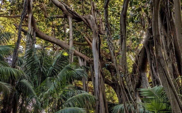 Lord Howe Island Exploration