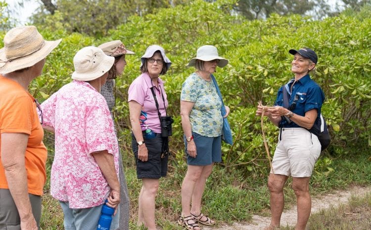 Turtle Conservation of the Southern Great Barrier Reef