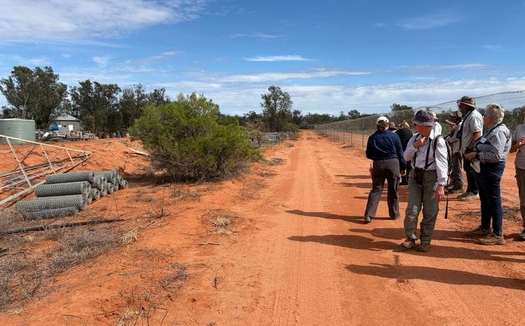 Rewilding Scotia with the Australian Wildlife Conservancy