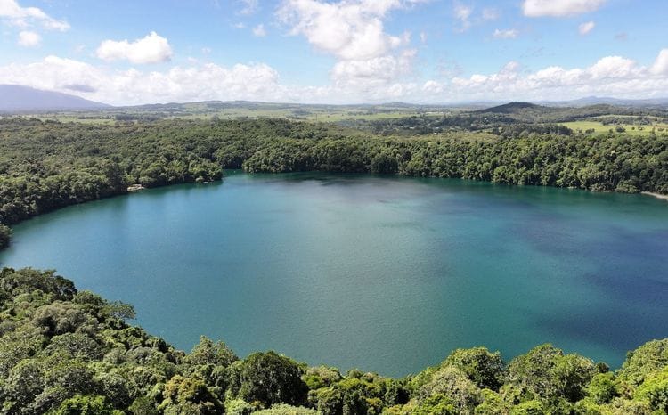 Tropical Birding in North Queensland