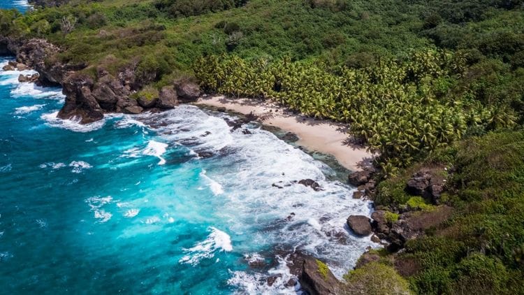 Christmas & Cocos Islands - Nature & Wildlife Journey