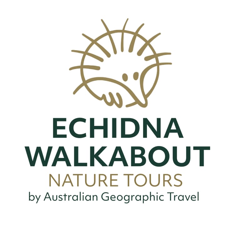 Echidna Walkabout 