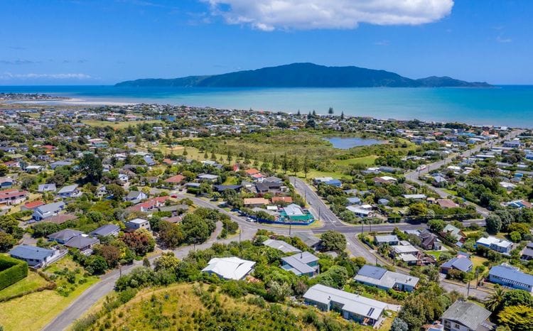 North Island Birding: Kiwi to Kōkako